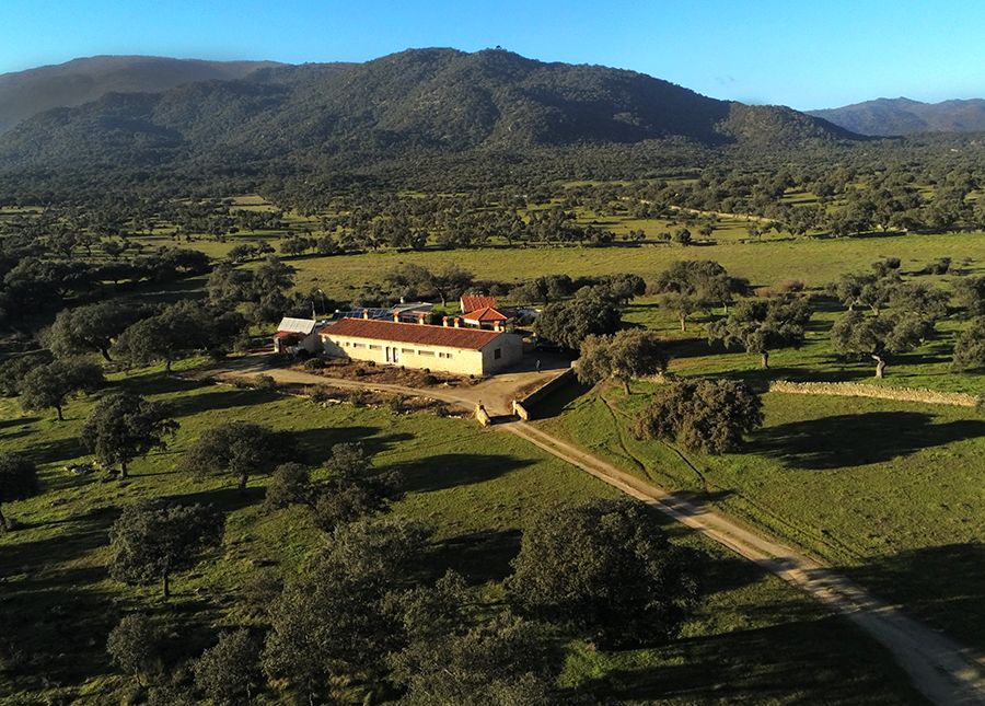 Casa Rural Las Gamitas